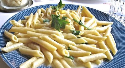 white sauce pasta