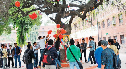 Virgin Tree Puja