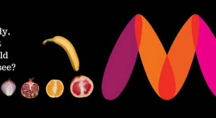 Myntra logo controversy