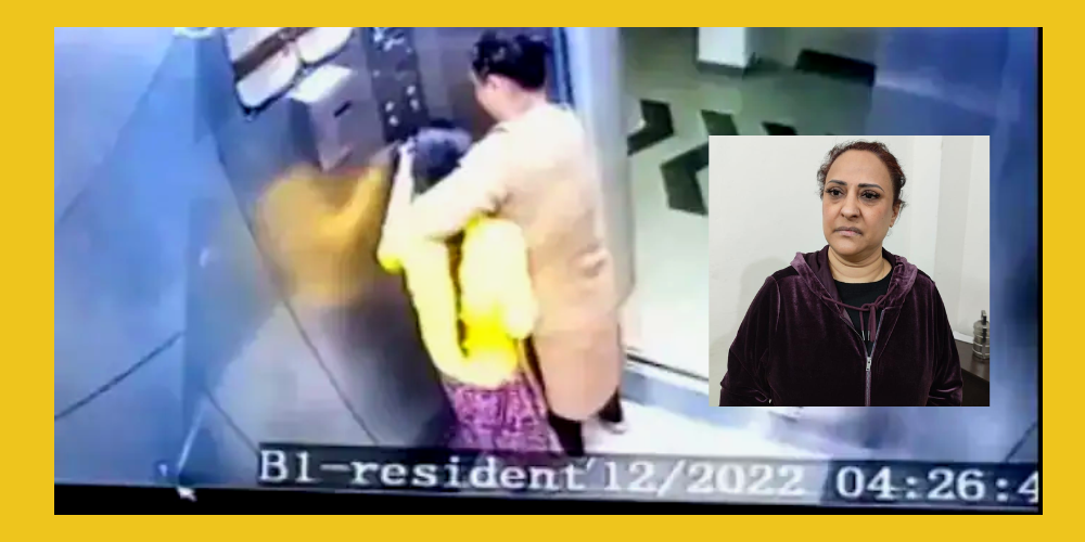 Noida Woman Caught Beating House Help On Cctv Camera Has Been Arrested